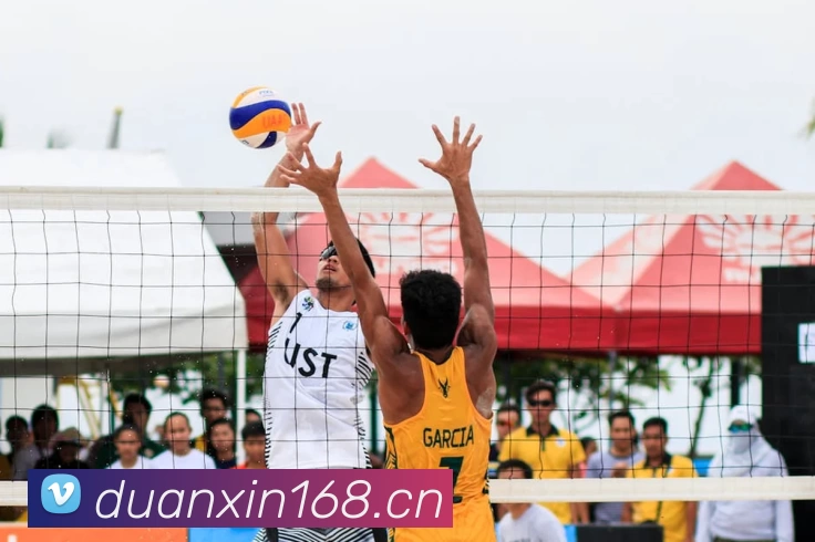 米兰·(milan)中国有限公司官方网站平台生态图